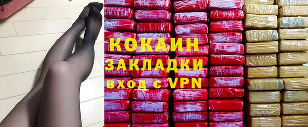 дживик Белокуриха