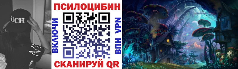kraken как зайти  Кудрово  darknet телеграм  Галлюциногенные грибы Psilocybe 